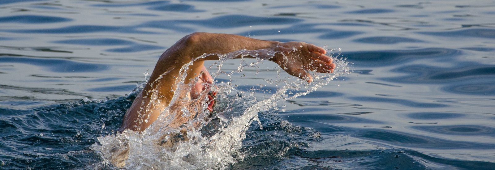 image bannière nageur en eau libre