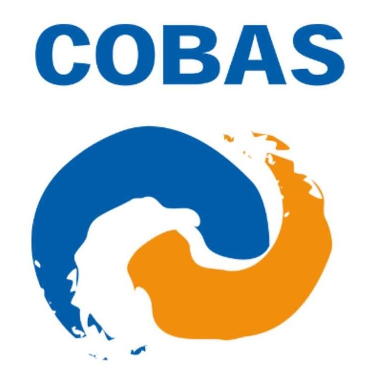 Logo partenaire cobas